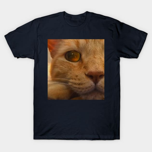 Orange Tabby Cat Eye T-Shirt by RawSunArt